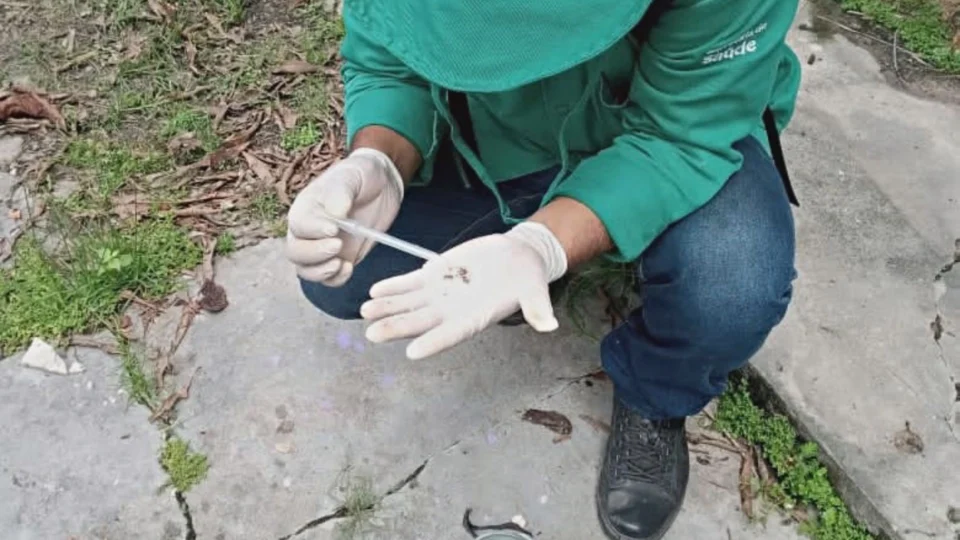 Boletim Dengue: quinta-feira (5) registra 97 novos casos e três mortes no AM