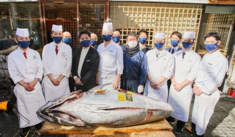 Atum é arrematado por mais de R$ 1 milhão em leilão de Ano Novo no Japão