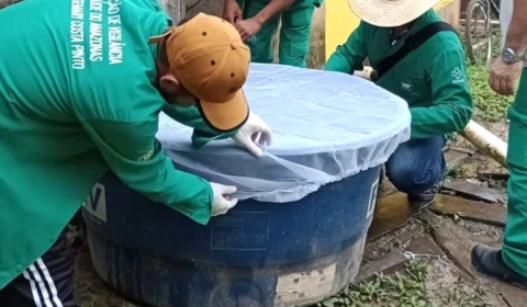 Boletim Dengue: quinta-feira (26) registra quatro mortes pela doença no AM