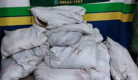 Polícia apreende 500 kg de pescado ilegal na Feira da Panair em Manaus
