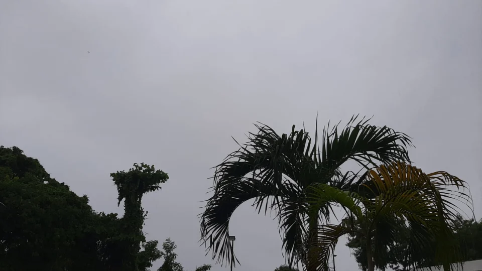 Previsão do tempo aponta dia chuvoso em Manaus nesta sexta (5)