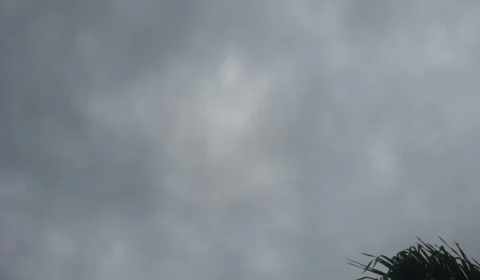 Previsão do tempo: confira o clima em Manaus nesta terça (31)