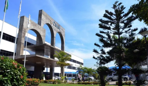 Cães e gatos terão espaço exclusivo na Câmara Municipal de Manaus
