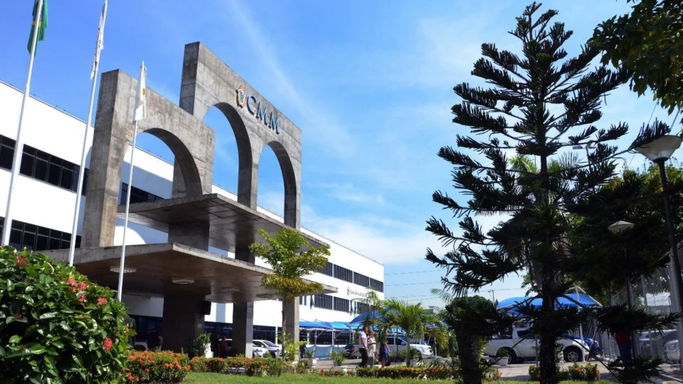 Cães e gatos terão espaço exclusivo na Câmara Municipal de Manaus