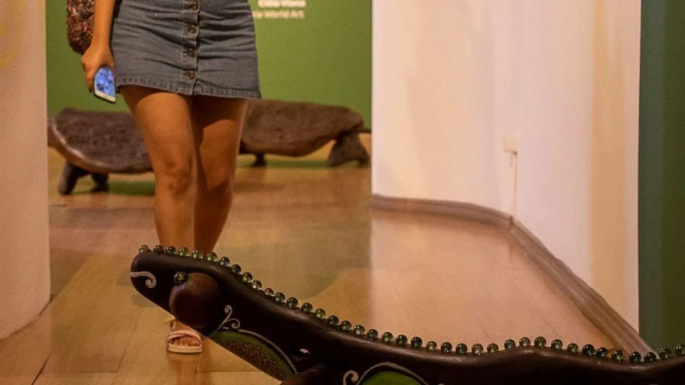 Férias: centros culturais de Manaus exibem exposições artísticas temporárias