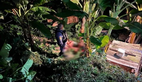 Homem é sequestrado e morto a tiros e terçadadas em matagal na Zona Norte de Manaus