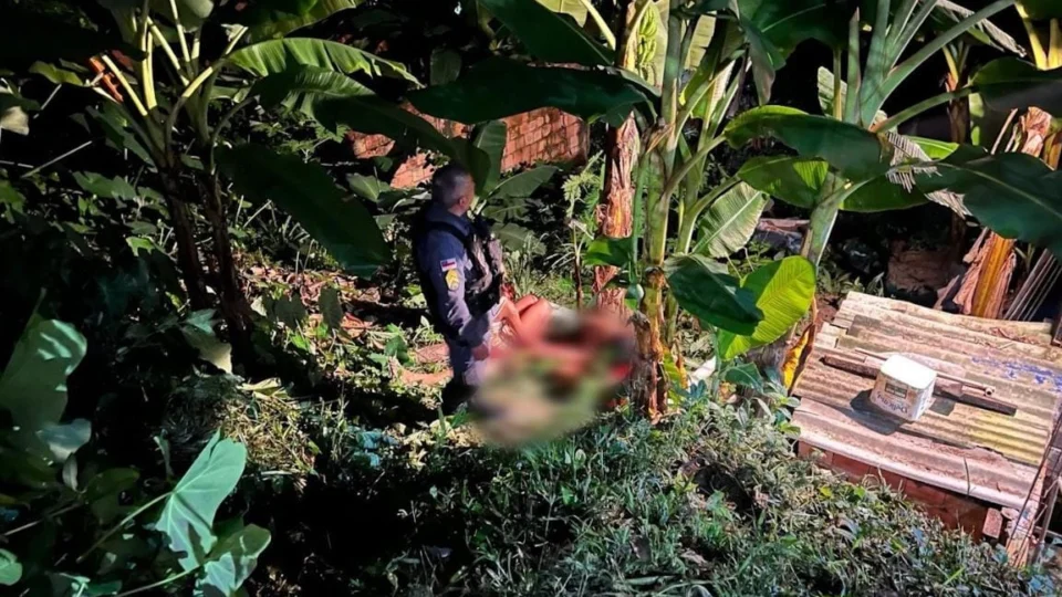 Homem é sequestrado e morto a tiros e terçadadas em matagal na Zona Norte de Manaus