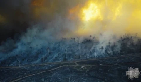 VÍDEO: AM é o segundo estado em área com maior risco de devastação florestal