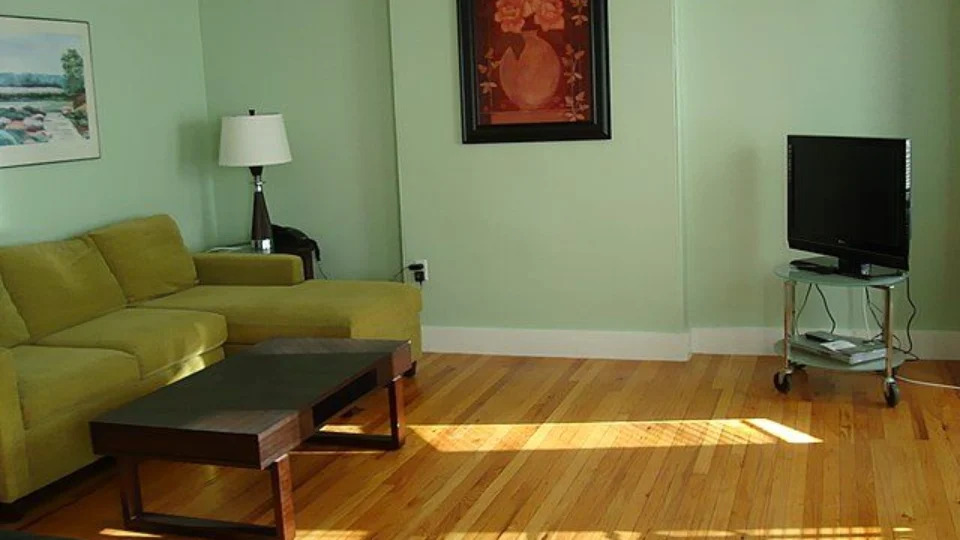 Sustentabilidade e decoração: confira como investir nessa ideia em sua casa