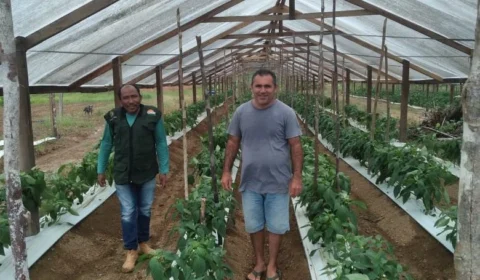 Produtores rurais recebem treinamento técnico no Careiro Castanho, no AM