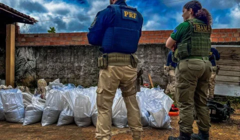 PRF e IBAMA apreendem mais de 4 toneladas de minério em Boa Vista-RR