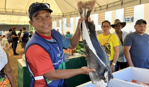 Quaresma: venda de peixes diversos é realizada nas feiras da ADS em Manaus