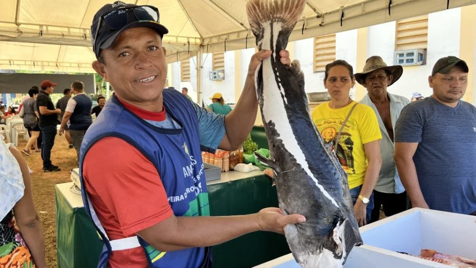 Quaresma: venda de peixes diversos é realizada nas feiras da ADS em Manaus