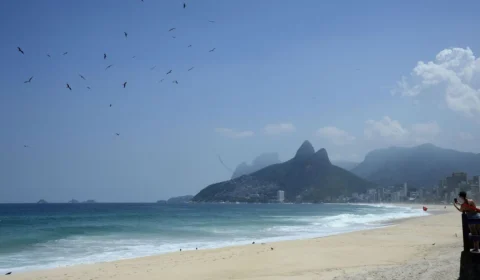 Albatrozes e petréis: banco de amostras tem expansão de 57,5%