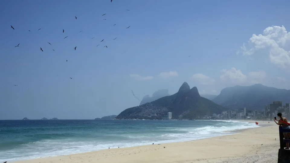 Albatrozes e petréis: banco de amostras tem expansão de 57,5%