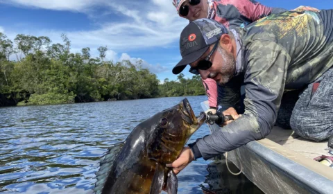 Demandas relacionadas à Pesca Esportiva no Amazonas são entregues a ministro