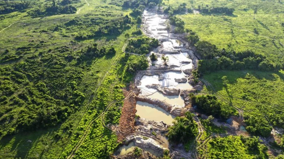 Governo do Pará declara emergência ambiental em 15 município por 180 dias
