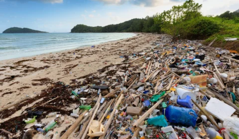 Poluição plástica do planeta está piorando, alerta relatório mundial
