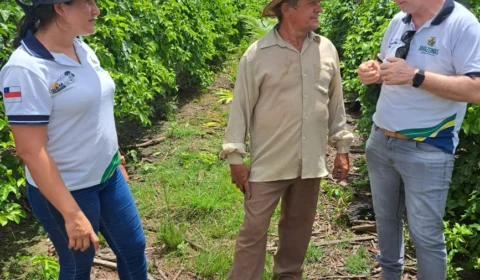 Programa sustentável impulsiona produtividade em Humaitá, no Amazonas