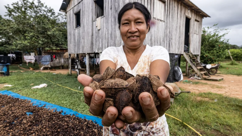 Mulheres protagonizam trabalho na cadeia extrativista em regiões amazônicas