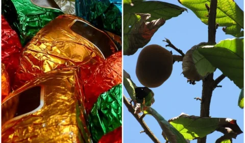 Feirante se destaca na produção doces regionais em Feiras da ADS em Manaus