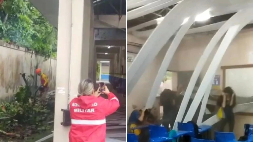 VÍDEO: árvore cai sobre telhado de escola em Manaus e deixa alunos feridos