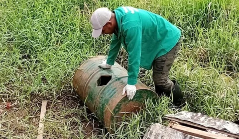 Em 5 meses, AM notifica mais de 6 mil casos de dengue e 4 mortes pela doença