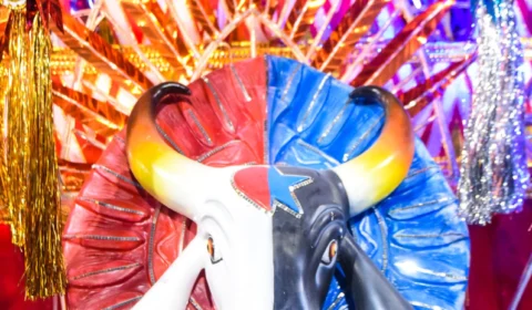 Carnaval 2023: Vila Isabel faz homenagem aos Bois de Parintins em desfile