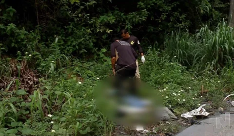 VÍDEO: corpo é encontrado em área de mata do Distrito Industrial de Manaus