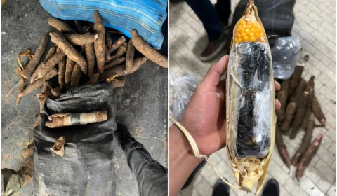 Casal cobria droga com cascas de mandioca e milho para traficar no AM