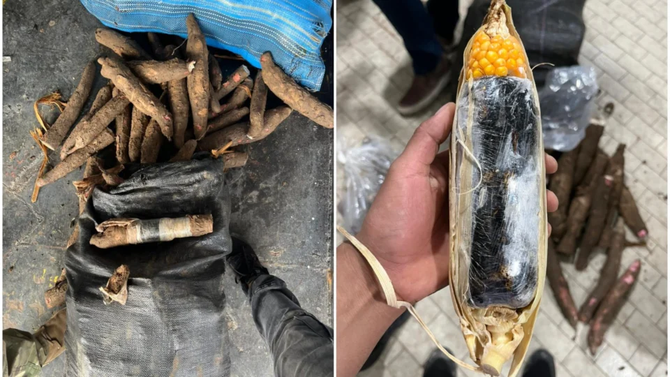 Casal cobria droga com cascas de mandioca e milho para traficar no AM