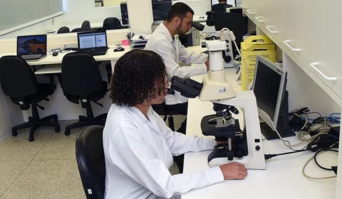 Tecnologia: exames de parasitos intestinais alcançam 92% de eficácia com dispositivo desenvolvido no Brasil