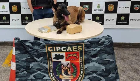 VÍDEO: mulher é presa com pasta base de cocaína e maconha no porto de Manaus