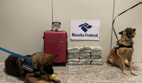 Vídeo: RF apreende 20,6 kg de drogas dentro de mala no aeroporto de Manaus