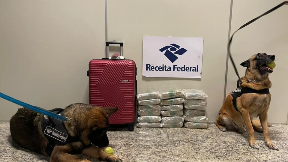 Vídeo: RF apreende 20,6 kg de drogas dentro de mala no aeroporto de Manaus