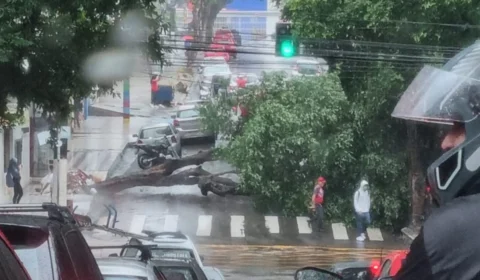 Chuva provoca queda de árvore, erosão e deslizamento de terra em Manaus
