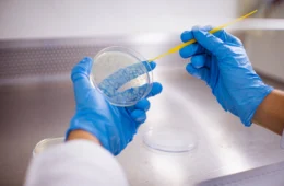 Comissão aprova PLP que impede corte de despesas com bolsas de pesquisa