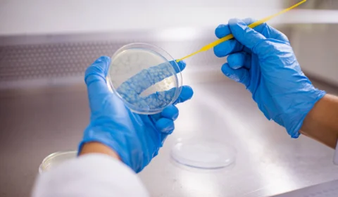 Comissão aprova PLP que impede corte de despesas com bolsas de pesquisa