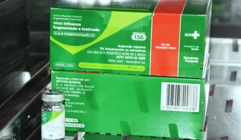 Influenza: municípios recebem treinamento para campanha de vacinação no TO