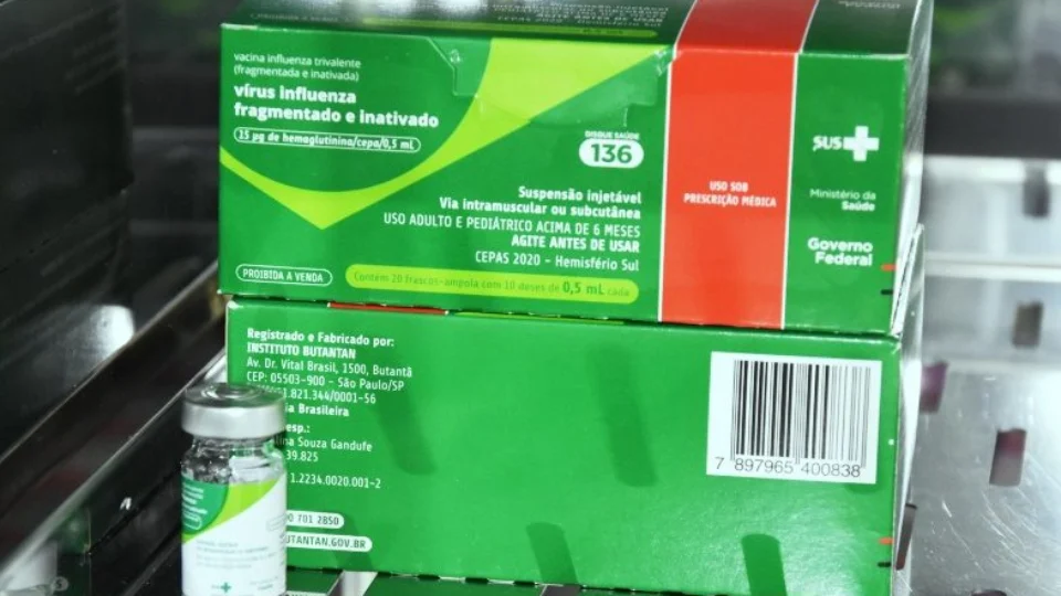 Influenza: municípios recebem treinamento para campanha de vacinação no TO