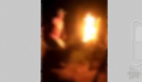 Crueldade: jovens colocam fogo em rabo de cavalo no Pará; veja vídeo