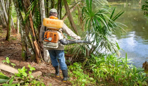 Malária: Saúde define combate em áreas indígenas de Barcelos e São Gabriel da Cachoeira