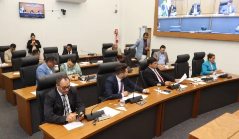 Câmara de Palmas discute PL que proíbe linguagem neutra nas escolas