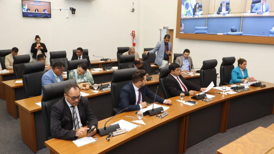 Câmara de Palmas discute PL que proíbe linguagem neutra nas escolas