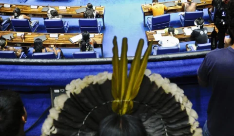 Fundo Amazônia: comissão pede esclarecimentos para amparo dos Yanomamis