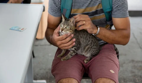Esporotricose: doença que atinge humanos e animais registra aumento de casos no Amazonas