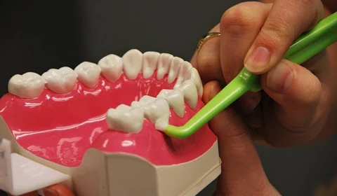 Dia Mundial da Saúde Bucal foca em cuidados básicos e medidas informativas