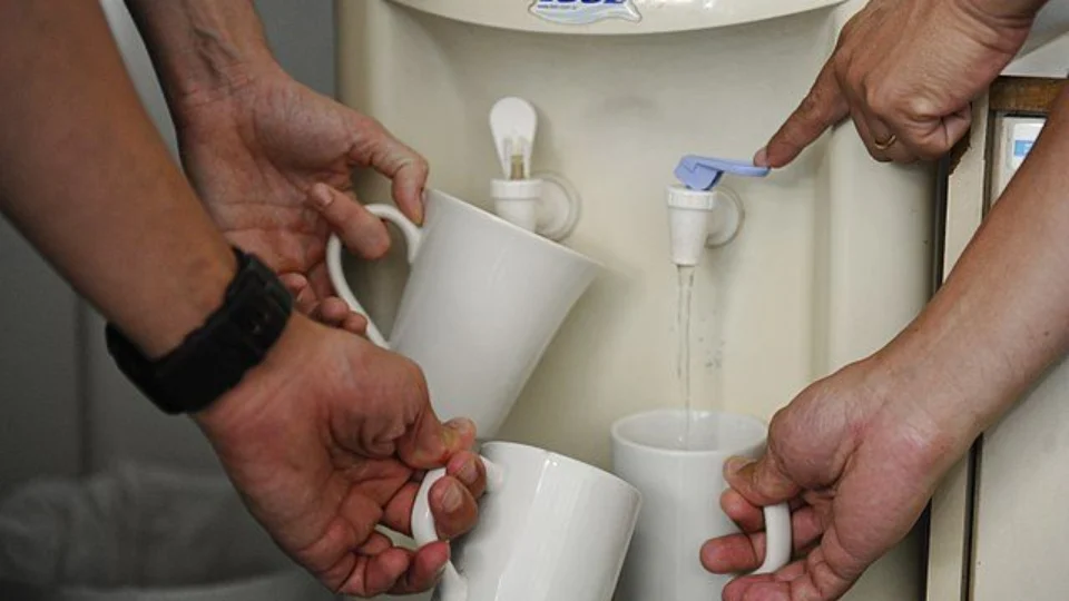 Saúde do Rim: confira 3 doenças renais mais comuns e saiba como se prevenir