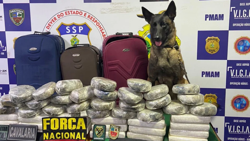 Mais de 50 kg de cocaína são apreendidos em Coari, no interior do Amazonas