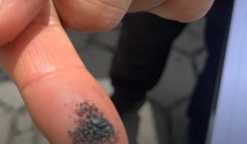 Contêineres com mil toneladas de minério suspeitos são retidos em Manaus